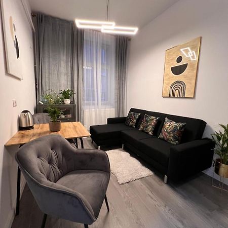 Musai Apartment Брашов Екстер'єр фото