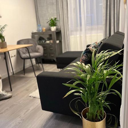 Musai Apartment Брашов Екстер'єр фото