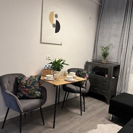 Musai Apartment Брашов Екстер'єр фото