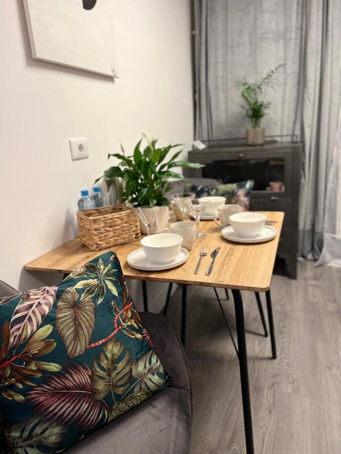 Musai Apartment Брашов Екстер'єр фото