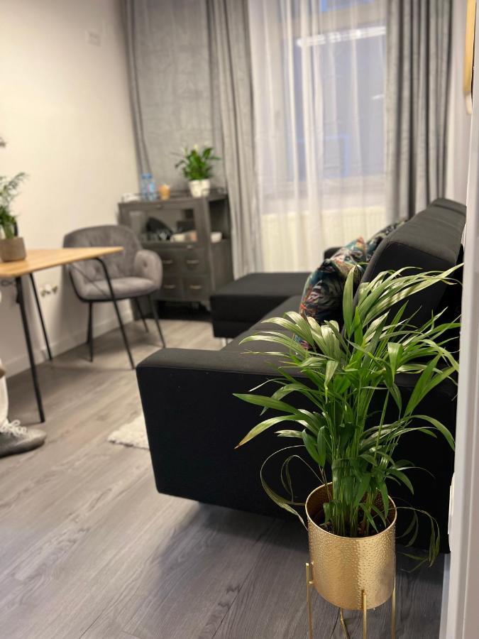 Musai Apartment Брашов Екстер'єр фото